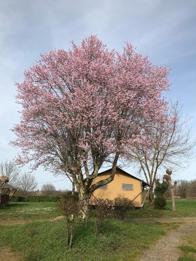 Le Mondou Saint-Julien-de-Lampon 外观 照片